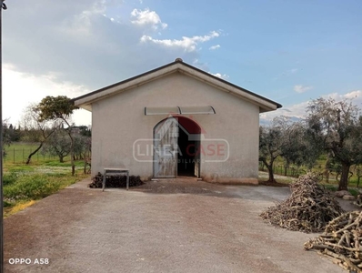 Terreno Agricolo in vendita a Gallicano nel Lazio via Prato Ciccone