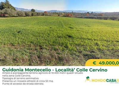 Terreno Agricolo in vendita a Guidonia Montecelio via Colle Corvino