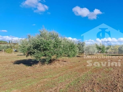 Terreno Agricolo in vendita a Lanuvio via Solonio, 65A