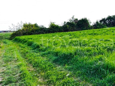 Terreno Agricolo in vendita a Madone via Gorizia