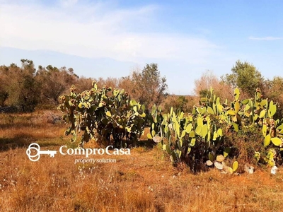 Terreno Agricolo in vendita a Martignano via roma s.n.c