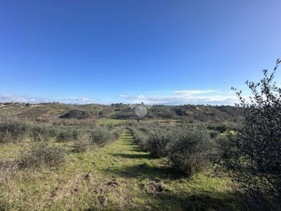 Terreno Agricolo in vendita a Morlupo via Santa Lucia