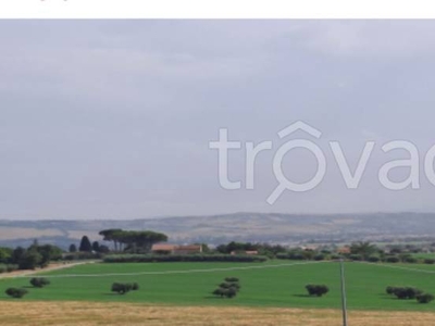 Terreno Agricolo in vendita a Morrovalle contrada Crocette
