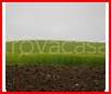 Terreno Agricolo in vendita a Padenghe sul Garda - ;, Padenghe sul Garda, bs,