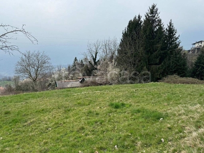 Terreno Agricolo in vendita a Pertica Alta via Zovo