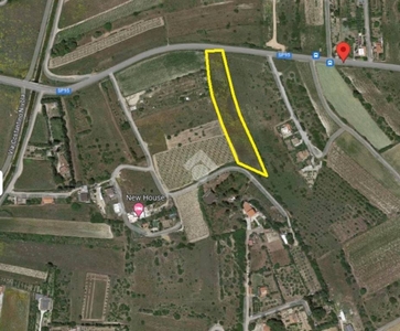 Terreno Agricolo in vendita a Quartu Sant'Elena via Secca s'Arrideli snc