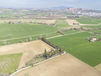 Terreno Agricolo in vendita a Recanati contrada Ricciola