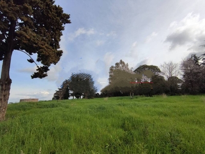 Terreno Agricolo in vendita a Roma via della Casetta Mattei, 378