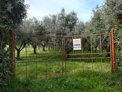 Terreno Agricolo in vendita a Roma via Pietrelcina