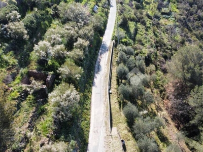 Terreno Agricolo in vendita a San Biagio della Cima via Annunziata