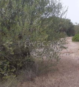 Terreno Agricolo in vendita a Sant'Anna Arresi via Is Seddas