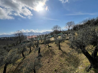 Terreno Agricolo in vendita a Sarzana via Ghigliolo Alto