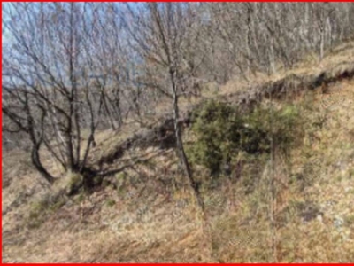 Terreno Agricolo in vendita a Vobarno località Prè Degagna