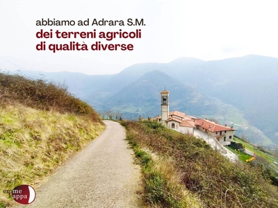 Terreno Agricolo in vendita ad Adrara San Martino via Cucchi