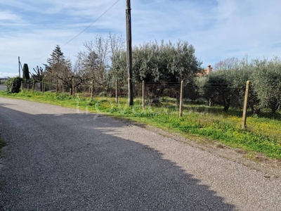 Terreno Agricolo in vendita ad Albano Laziale vicolo Sant'Antonio in Canepine