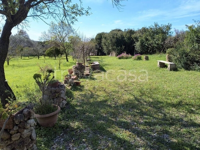 Terreno Agricolo in vendita ad Alghero strada Vicinale Punta dell'Eru