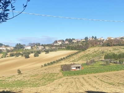 Terreno Agricolo in vendita ad Ancona