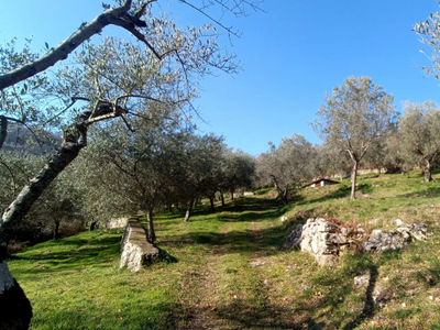 terreno residenziale in vendita a Fontechiari