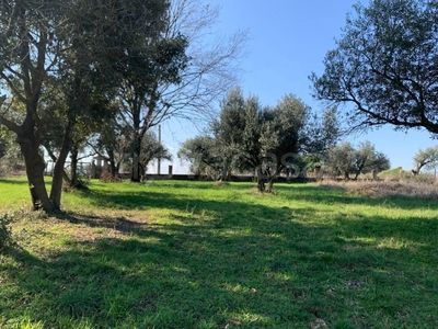 Terreno Residenziale in vendita a Gallicano nel Lazio via Colle dell'Ara, 2
