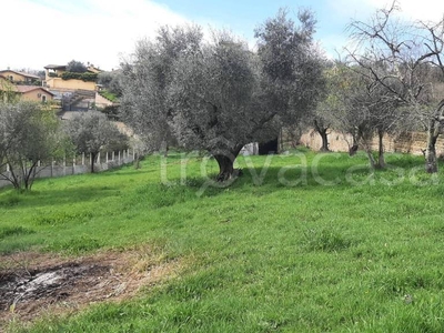 Terreno Residenziale in vendita a Riano via dei Ciliegi