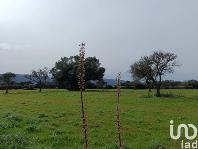 Terreno Residenziale in vendita a Telti località  Aratena