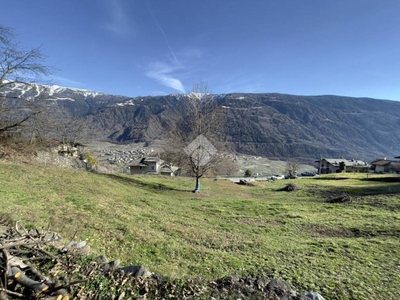 Terreno Residenziale in vendita a Tirano via Buglio