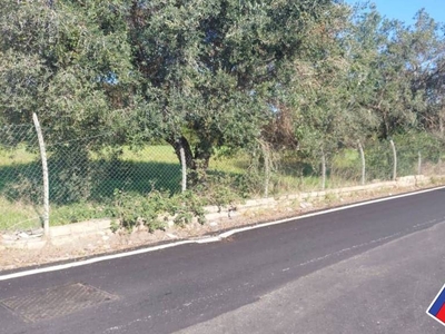 Terreno Residenziale in vendita ad Anzio via Machiavelli