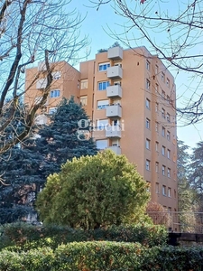 Vendita Appartamento Via Argonne, Bologna