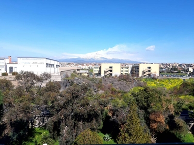 Appartamento in vendita a Catania