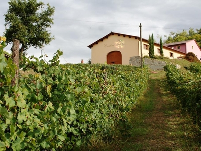 Azienda agricola in vendita a Bucine