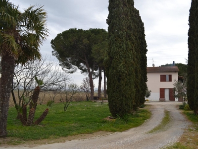 Casa indipendente con giardino a Campiglia Marittima