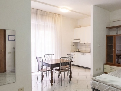 Luminoso appartamento con 1 camera da letto in affitto a Balduina, Roma