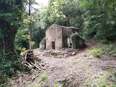 Rustico in vendita a Roccastrada