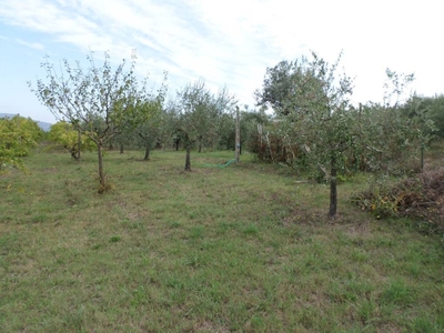 Terreno in vendita a Magione