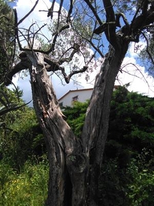 Villa in buono stato di 300 mq.