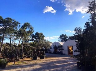 Affitto Terreno agricolo, in zona BORGO PIAVE, LATINA