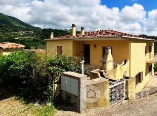 Casa indipendente in vendita Contrada Oracchio , Belvedere Marittimo