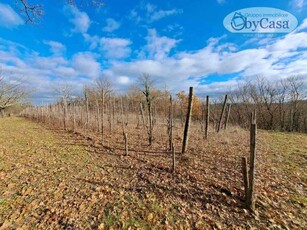 Terreno in Vendita a Oriolo Romano - 33000 Euro