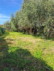 Villa in Vendita a Massarosa