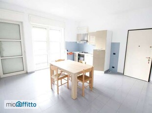 Appartamento arredato con terrazzo Capannori