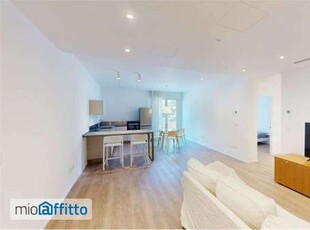 Appartamento arredato con terrazzo Centro