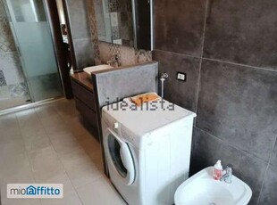 Appartamento arredato con terrazzo Crocetta