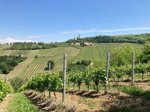 Azienda Agricola a Santa Giuletta