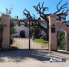 Azienda agricola in Vendita a Piombino Frazione Populonia Stazione, Località Poggio Rosso