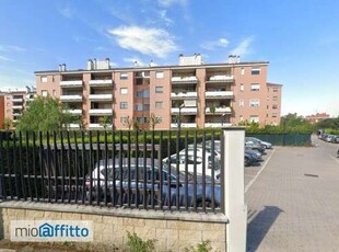 Bilocale arredato con terrazzo Infernetto, axa, casal palocco, madonnetta a roma