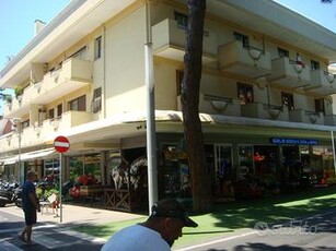 Riccione , ampio appartamento su viale Dante