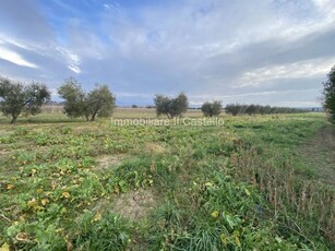 Terreno agricolo in Vendita a Castiglione del Lago Piana