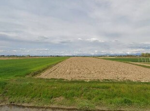 Terreno agricolo in Vendita a Fiumicello Villa Vicentina San Lorenzo