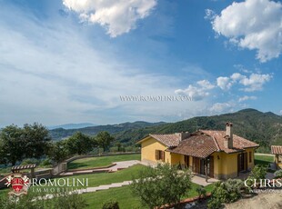 VILLETTA CON 2.000 PIANTE DI OLIVO IN VENDITA, CITTÀ DI CASTELLO, UMBRIA