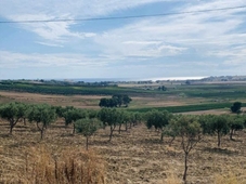 Terreno Agricolo in vendita a Castelvetrano c.Da Belicello